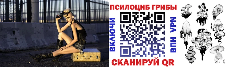 блэк спрут tor Берёзовка Галлюциногенные грибы Psilocybe